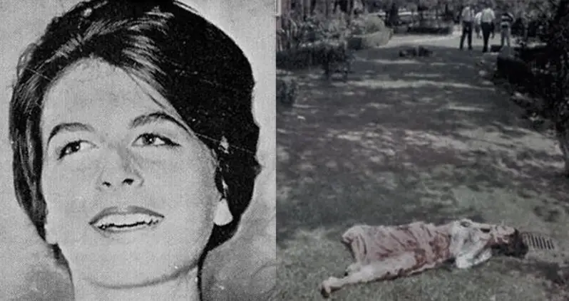 Coffee Heiress Abigail Folger Was Slaughtered By The Manson Family, Then Overshadowed By Sharon Tate