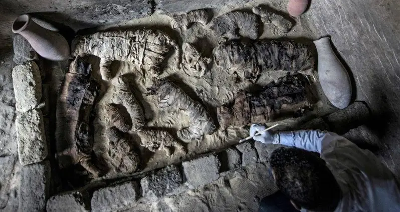 Archeologists Discover Dozens Of Cat Mummies In An Ancient Egyptian Tomb