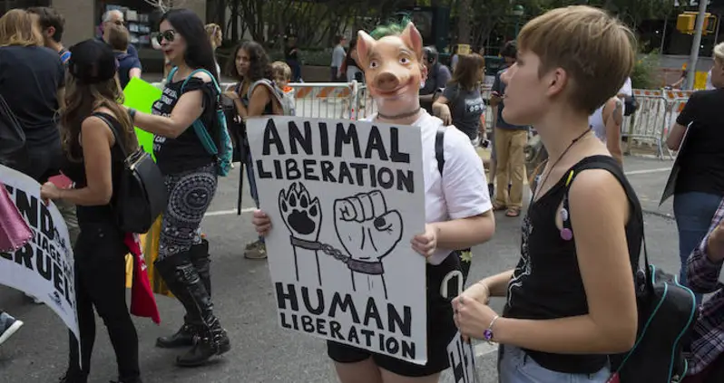 PETA Wants People To Stop Saying Phrases Like ‘Bringing Home The Bacon’
