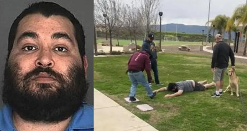 Sex Offender Wrestled By Parents After He Attempted To Kidnap Toddlers At A California Park