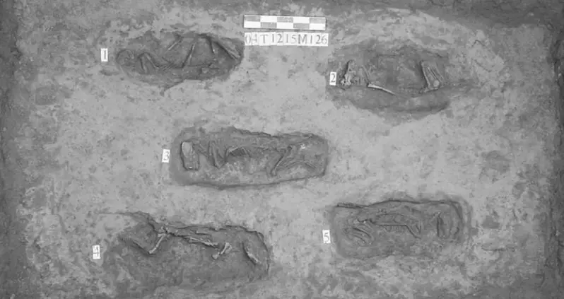 This Week In History News, May 12 – 18