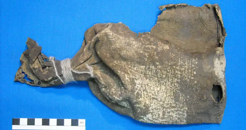 Earliest Evidence Of Ayahuasca Use Discovered In Ancient Shamanic Pouch In Bolivia