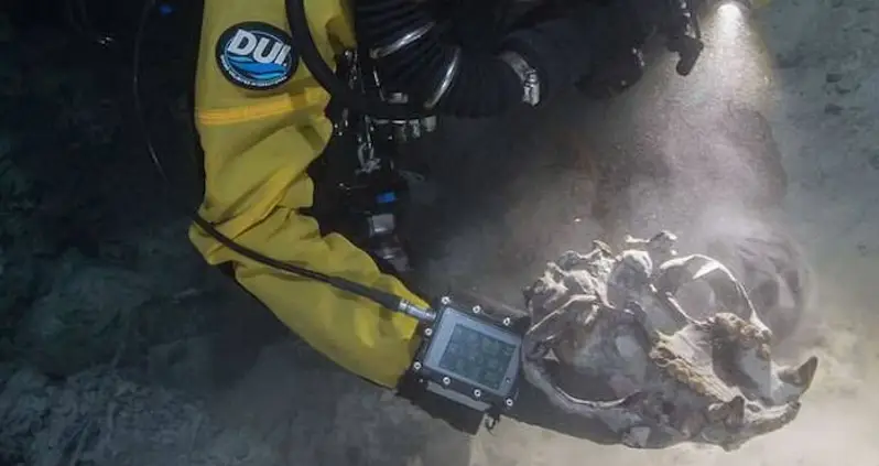 Ice Age Fossils Of Bear And Wolf-Like Species Discovered In Mexican Underwater Cave