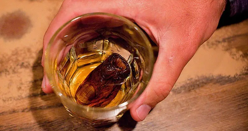 33 Facts About Canada That Reveal The Country Of Human Toe Cocktails And Bathtub Races