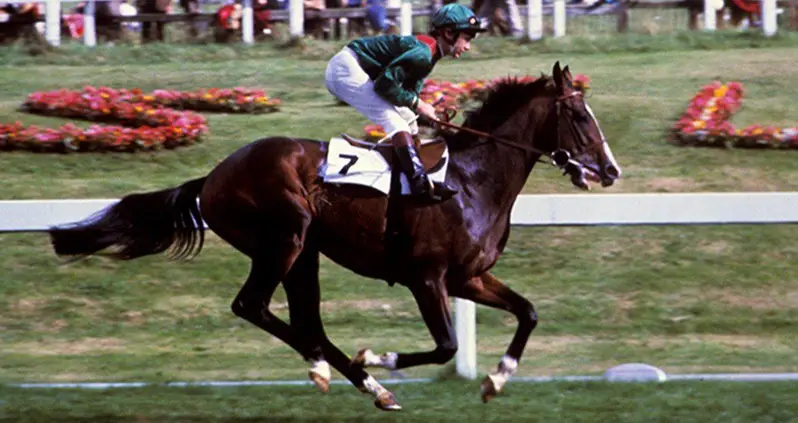 Inside The Strange And Shocking Kidnapping Of The ’80s Most Beloved Racehorse, Shergar