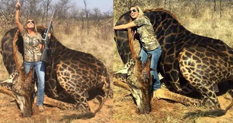 American Trophy Hunter Killed Rare Black Giraffe, Turned Its Skin Into A Gun Bag And Throw Pillows