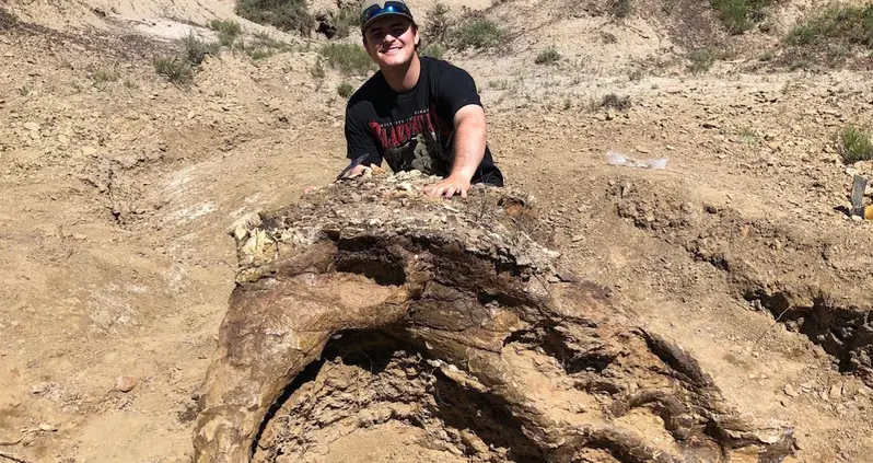 College Student Unearths 65-Million-Year-Old Triceratops Skull In North Dakota’s Hell Creek Formation