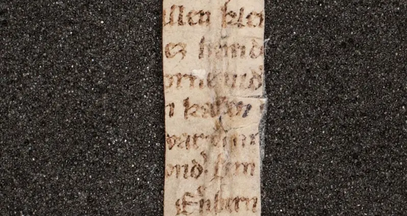 12th-Century Poem About A Virgin Arguing With Her Vulva Uncovered In Austrian Monastery