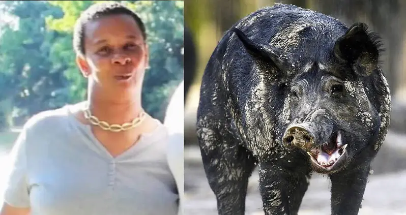 59-Year-Old Texas Woman Killed By Feral Hogs In Front Yard