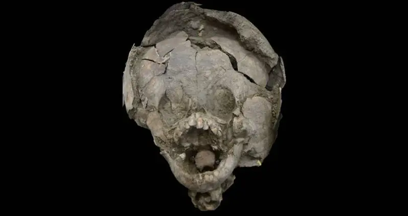 This Week In History News, Nov. 17 – 23