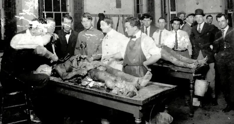 How A Criminal Underworld Of Body-Snatching Corpse Robbers Galvanized Modern Medicine