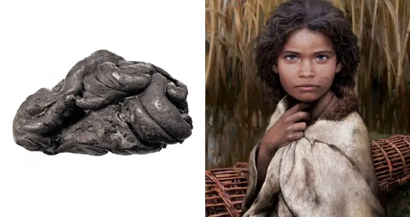 Scientists Recover Full Human Genome From A 5,700-Year-Old Piece Of Chewing Gum