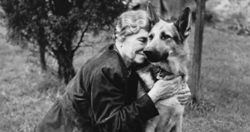 23 Photos Of Celebrities And Their Dogs That’ll Melt Your Heart
