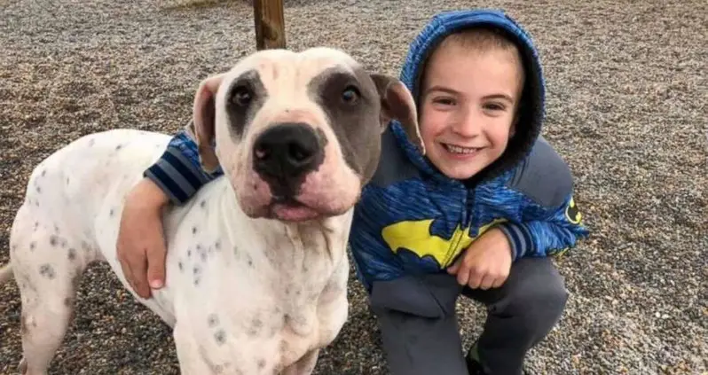 11 Of The Happiest News Stories That Came Out In 2019