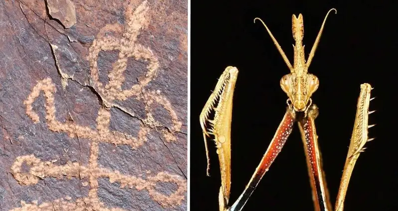 Prehistoric Rock Carving Of Half-Man Half-Mantis Figure Unearthed In Iran