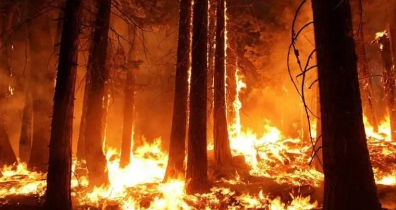 Man Sets Fire Near Chernobyl ‘For Fun,’ Causing Radiation Levels To Spike