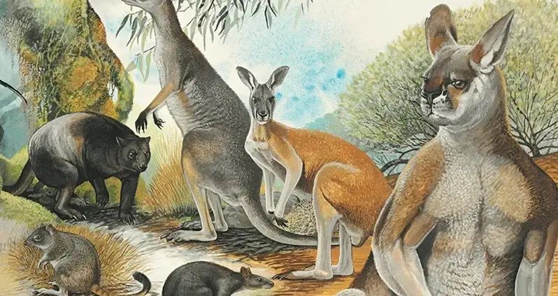 New Study Shows The Extinction Of Australia’s Megafauna Was Likely Caused By Climate Change
