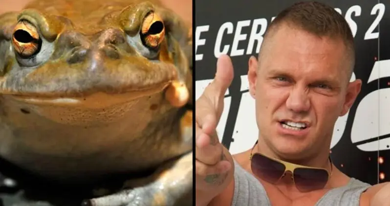 Porn Star Arrested For Manslaughter After A Man Died At His Psychedelic Toad Ritual