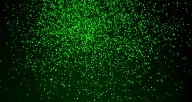 This Week In History News, Jul. 26 – Aug. 1