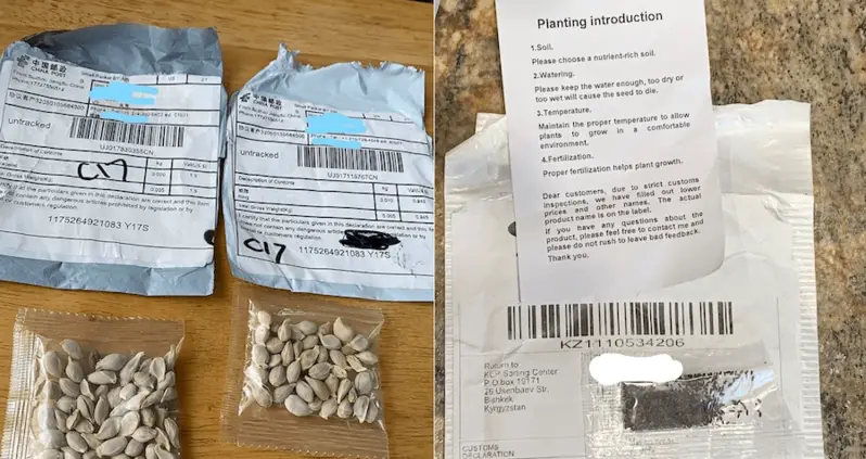 People Keep Getting Mysterious Seeds In The Mail From China — And Nobody Knows Why