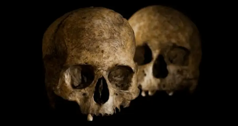 Bizarre Neolithic Burial Site Including Human Skulls And A Goat Skeleton Uncovered In Spain