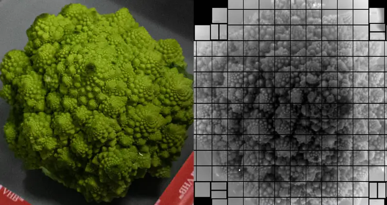 Telescope In Chile Snaps Largest Single Photograph In Human History — And It’s Of Broccoli
