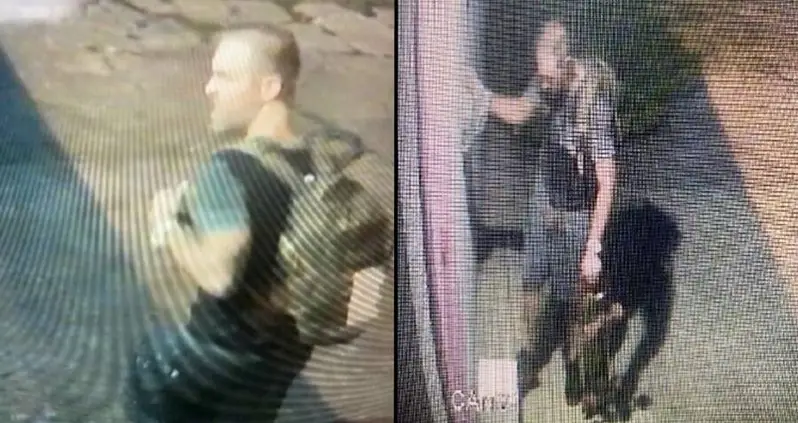 Authorities Are Searching For An Unidentified Florida Man Who Stole $600 Worth Of Cat Blood