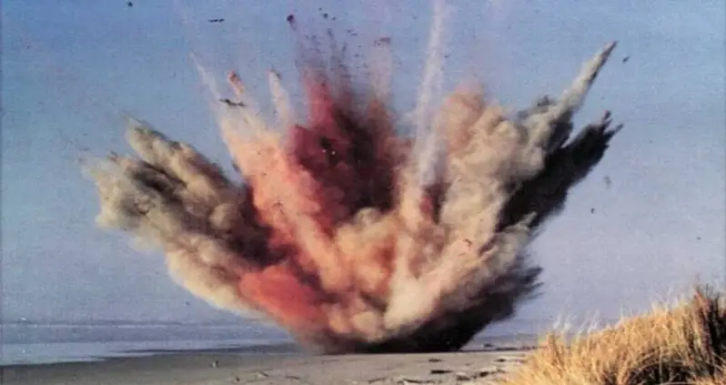 The Story Of Oregon’s Exploding Whale And The Wild Footage Left Behind