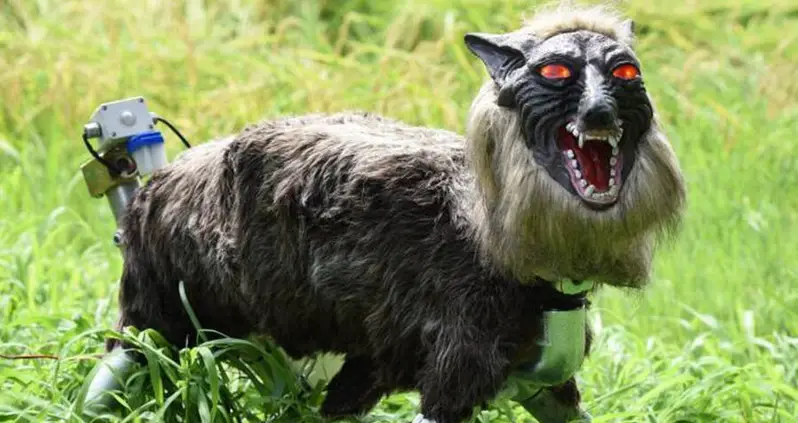 Japanese Town Deploys ‘Monster Wolf’ Robots To Scare Away Bears — And It Works