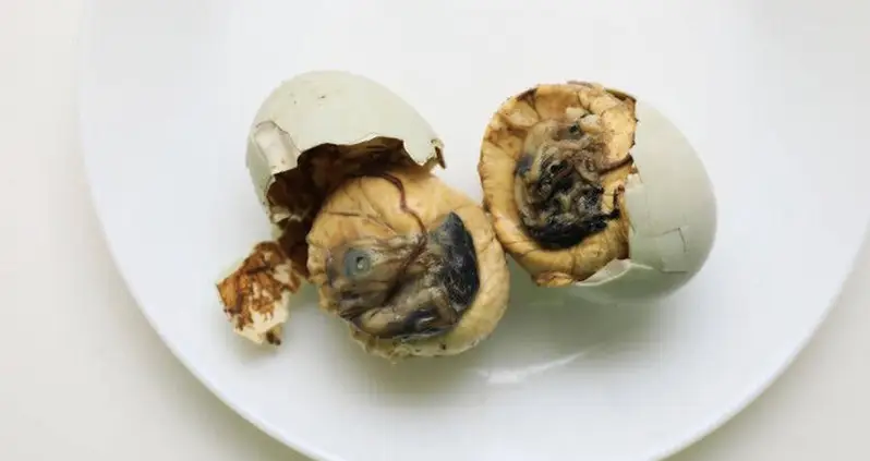 28 Pictures From Sweden’s Disgusting Food Museum That Will Make You Gag