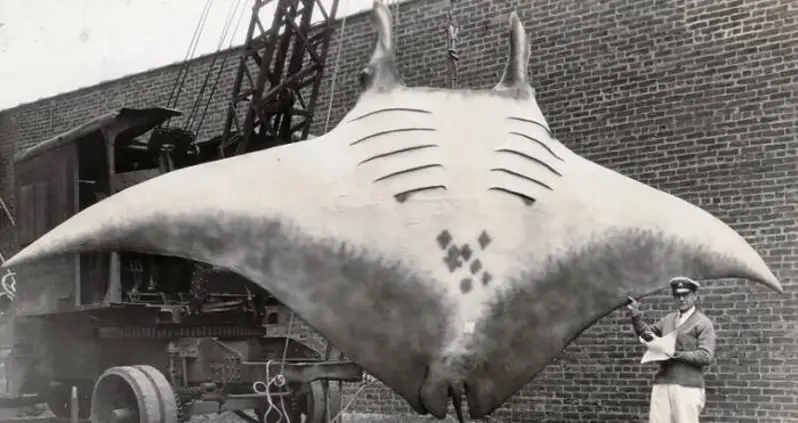 55 Weird Pictures From The Internet’s Catalog Of Humanity’s Past