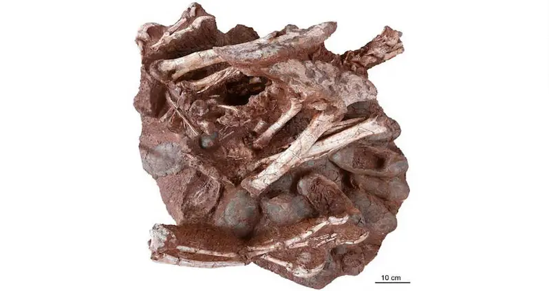 This Week In History News, Mar. 14 – 20