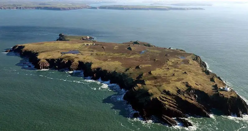 Rabbits Burrowing On A Remote Welsh Island Just Uncovered A Trove Of Stone Age Artifacts