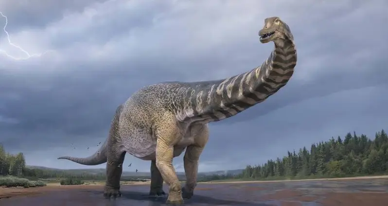 New Dinosaur Species Discovered In Australia Was Long As A Basketball Court And Towered Over T.Rex