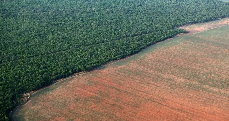 Indigenous Emergency Plan Demands 80 Percent Of Amazon Be Declared Protected Land By 2025