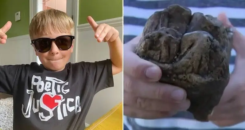 12,000-Year-Old Mastodon Tooth Discovered By Six-Year-Old Boy In Michigan