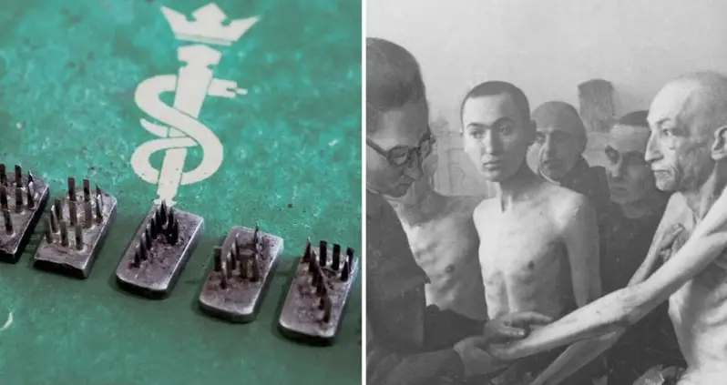 An Israeli Court Just Halted The Auction Of A Nazi Tattoo Kit Used To Brand Prisoners At Auschwitz