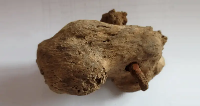 Rare Physical Evidence Of Roman Crucifixion Found In 1,900 Year Old English Skeleton