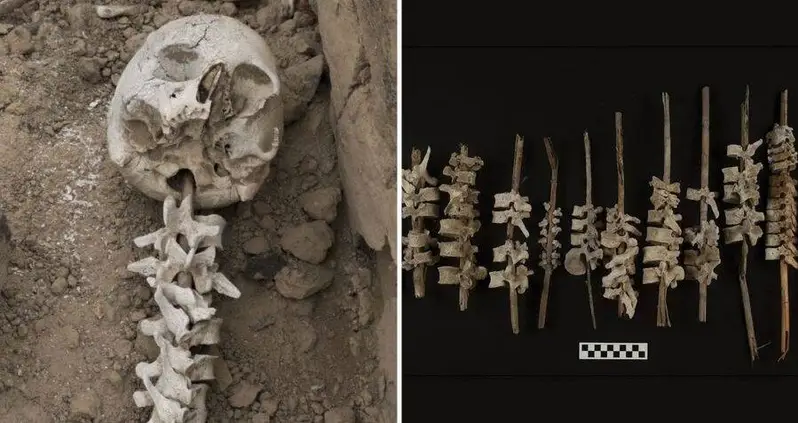 Archaeologists In Peru Discover A 16th-Century Grave Containing Nearly 200 Human Spines Threaded Onto Sticks