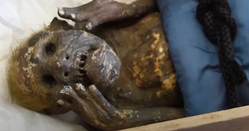 This Centuries-Old ‘Mermaid’ Mummy Housed In A Japanese Temple Is Finally Being Studied By Scientists