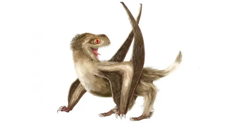 113-Million-Year-Old Fossil Reveals Flying Dinosaur Ancestor Likely Had Flamboyant Feathers On Its Head