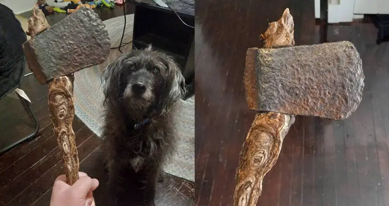 Kansas Man Finds Hatchet Head In Yard — With A Tree Root As A Handle