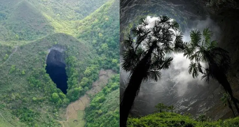 Spelunkers Discover A Massive Sinkhole In Southern China — With A Forest At The Bottom