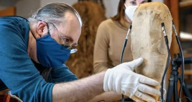 This Ancient Egyptian Mummy Forgotten In A Cornell Closet Was Just Revealed To Be A Sacred Ibis