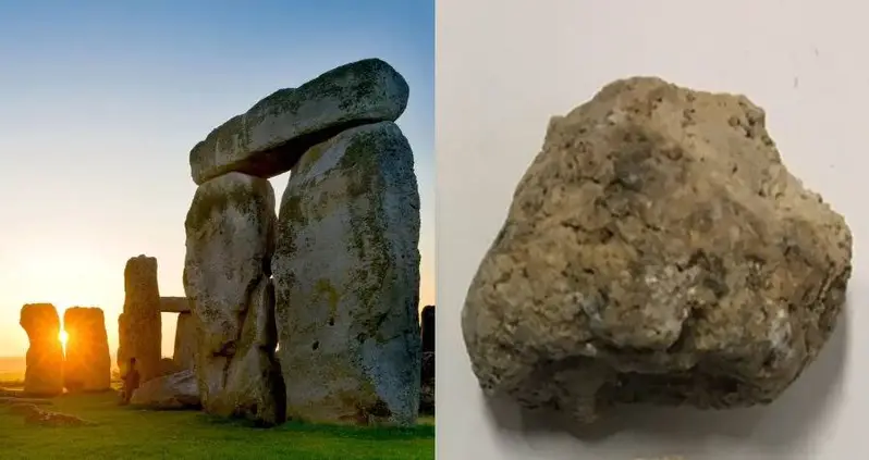 This Study Of Ancient Feces Just Proved Stonehenge’s Builders Ate Parasite-Infested Meat