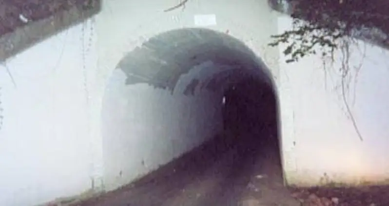 Inside The Terrifying ‘Bunny Man’ Legend Of Northern Virginia — And The True Stories Behind It