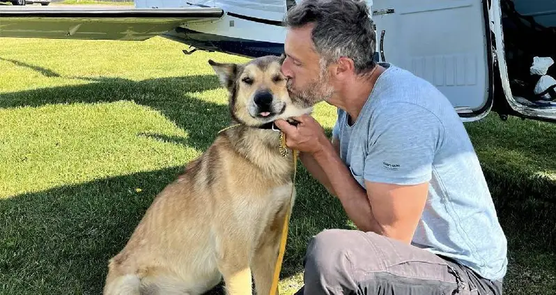 Missing Iditarod Sled Dog Found Safe — Months After Disappearing Into The Alaskan Wilderness