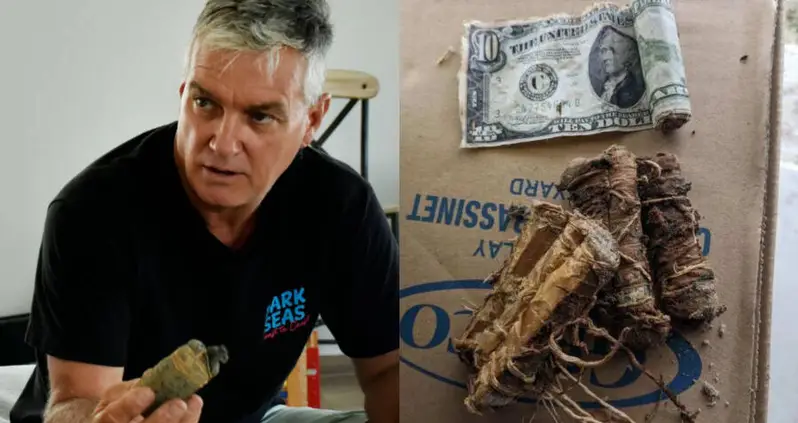 A Couple In New Jersey Unearthed Depression-Era Cash While Landscaping Their Yard