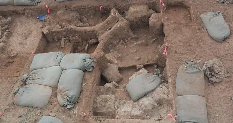 This Week In History News, Aug. 7 -13