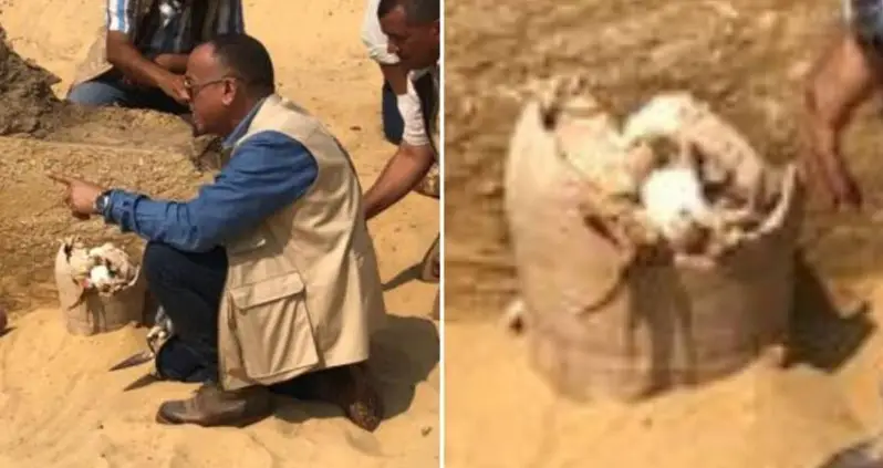 Archaeologists In Egypt Just Found 2,600-Year-Old Cheese Inside Clay Vessels